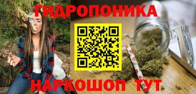 гашик Кандалакша