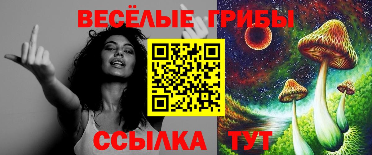 Кимры  Галлюциногенные грибы ЛСД  Вход с VPN  Псилоцибиновые грибы Psilocybe 