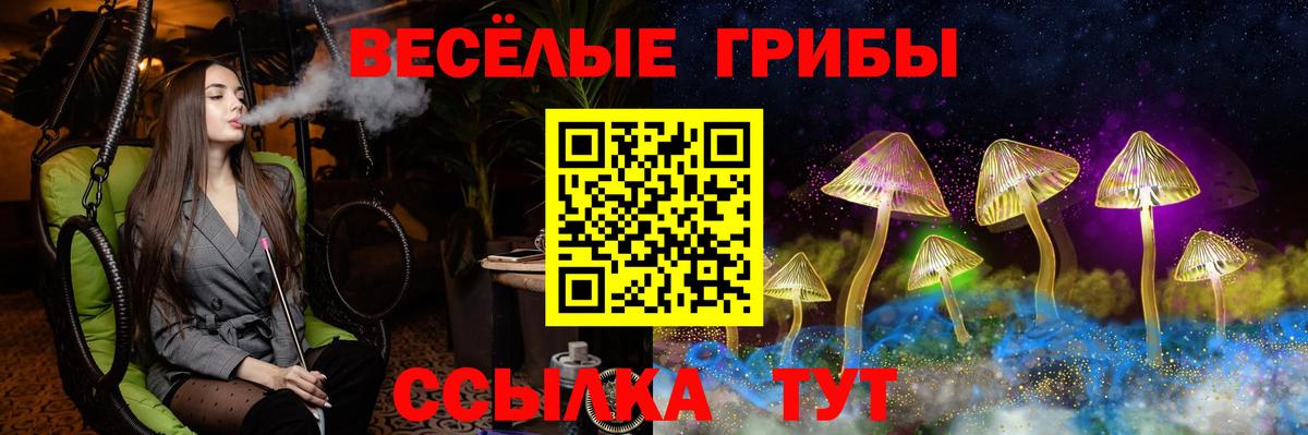 Галлюциногенные грибы Cubensis Кимры